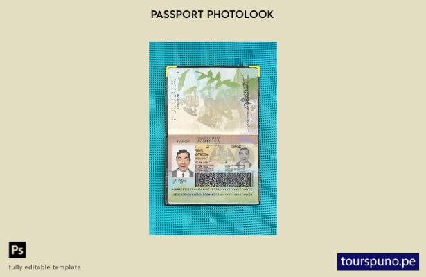 Plantilla de aspecto fotográfico para pasaporte dominicano lista para imprimir